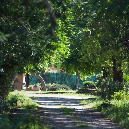 La Villa Delle Rose ローマ エクステリア 写真